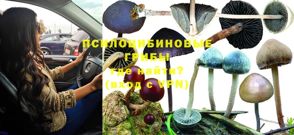 ГАЛЛЮЦИНОГЕННЫЕ ГРИБЫ Алексеевка
