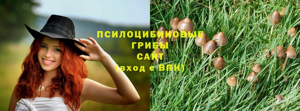 твердый Алексин