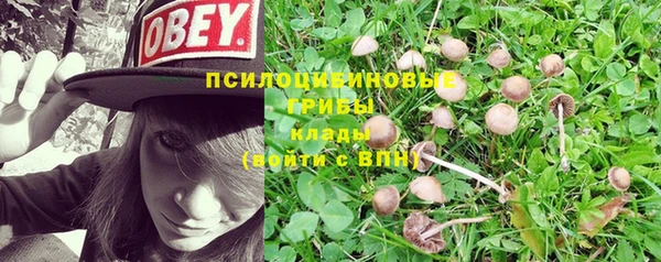 твердый Алексин